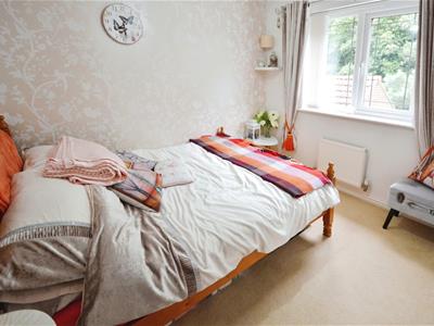 Picture 12